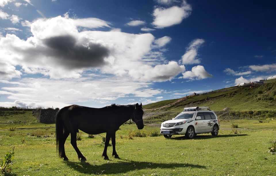 给想要买野马de朋友们的忠告!垃圾车_野马F1