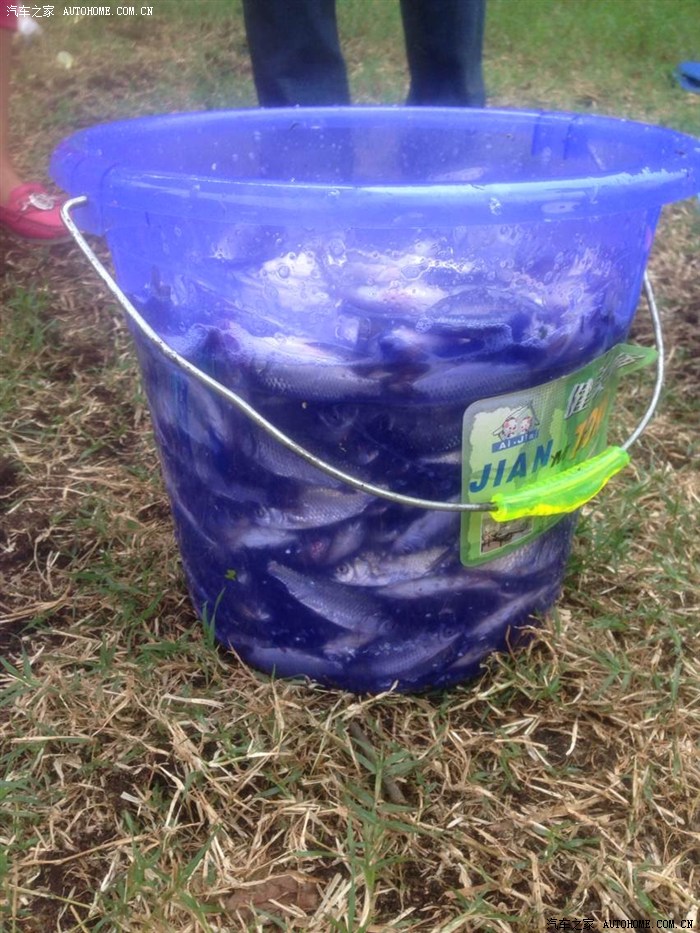 【图】昆明附近哪里可以钓鱼 免费 环境好 鱼多