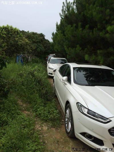 媳妇们齐出镜 持续更新 广州新蒙迪欧篮球群+