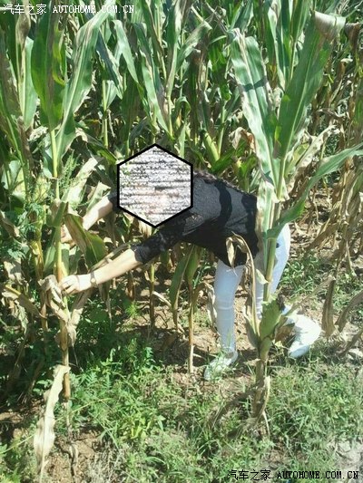 二龙湖游记。附上*四平青年*剧组照片*