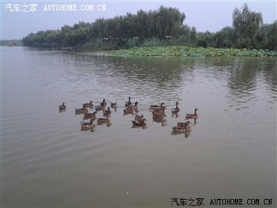 提车3个月,驭胜车友白洋淀2日游(拓展训练)