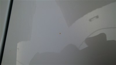 白车上的黄点锈斑。是落上去的。