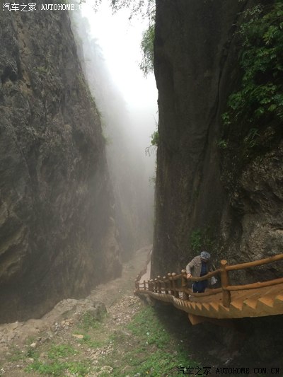 偶遇遮阳山