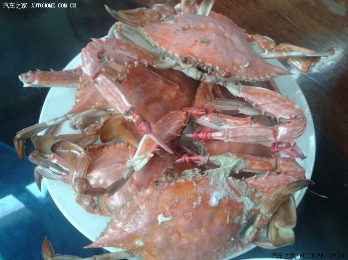 【图】馋死人不犯法