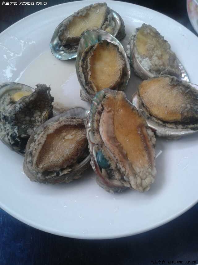 【图】馋死人不犯法