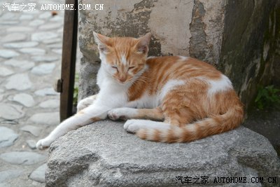 青岛出发 黄山自驾游