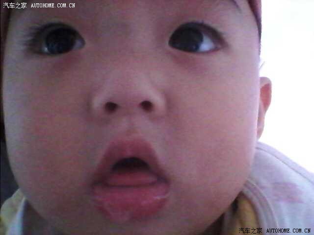 【图】每天推荐三道家常菜之 木瓜银耳炖牛奶