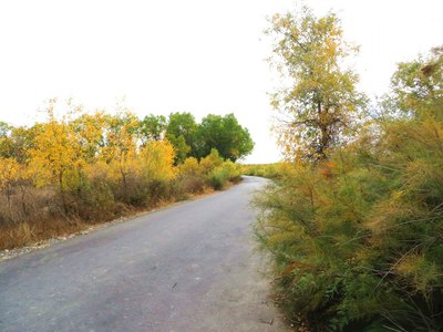 十一,媳妇上班,一个人无聊开车瞎逛,去了趟老龙