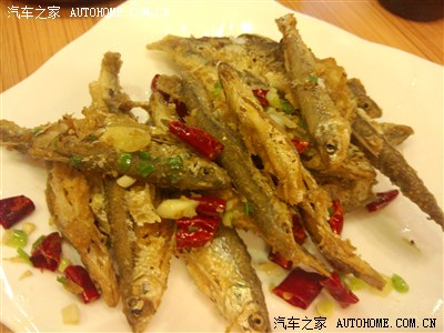 寻梦 张家界凤凰春节游--宝来论坛第二出色的帖