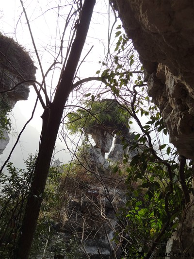 走吗观花,马年春节宜昌-荆州三日游_哈弗H6论