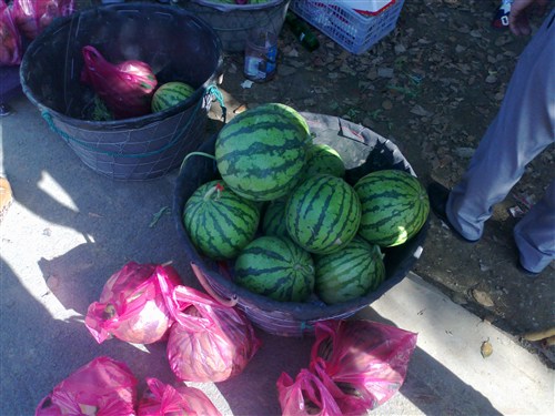 【图】金坛上海大众新帕客户关爱清凉之旅