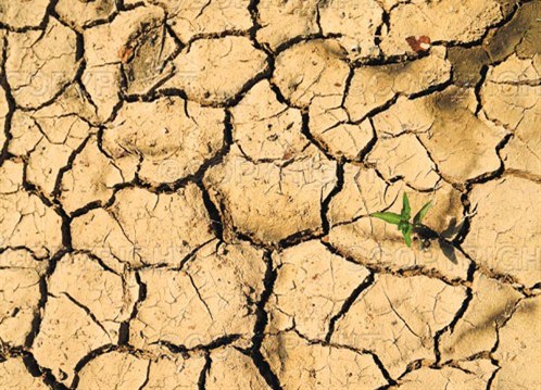 【燕宝携车友发出防治荒漠化和干旱倡议_北京