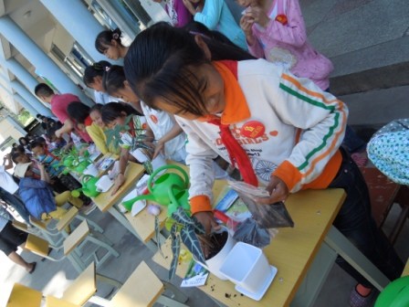 【图】和植物做朋友环保主题活动圆满结束