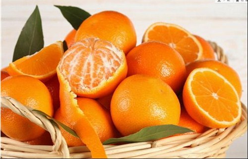 【图】台州众和斯巴鲁诚邀您赏名车 品贡桔