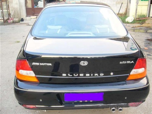 【图】共同寻找曹州古城最早的风神蓝鸟