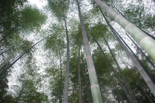 【图】衡水昌达瑞虎车友日照两日游圆满结束