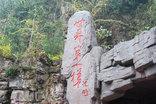 【图】一箱油 一千公里穿越天门山 全新帕萨特