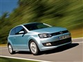 POLO(����)