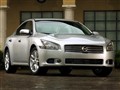�ղ�Maxima