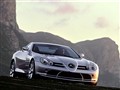 ����SLR