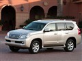 �׿���˹GX 2010�� 460 �������