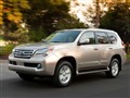 �׿���˹GX 2010�� 460 �������