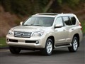 �׿���˹GX 2010�� 460 �������