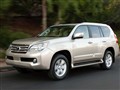 �׿���˹GX 2010�� 460 �������