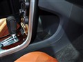 �ֶ���S60 2011�� ������ �пط�����