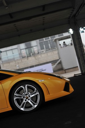 兰博基尼 兰博基尼 Gallardo 2010款 5.2 LP550-2