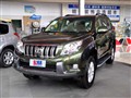 2010�� 4.0L VX