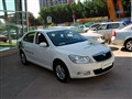 ���� 2010�� 1.4TSI GreenLine �������