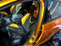 ����(����) ����˹(����)
2010���賵չ