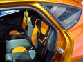 ����(����) ����˹(����)
2010���賵չ