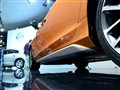 �ֶ���(����) �ֶ���S60
2010���ݳ�չ