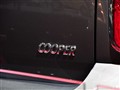 MINI MINI
2010���ڳ�չ