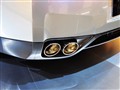 �ղ�(����) �ղ�GT-R
2010���ڳ�չ