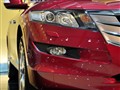 �������� ��ʫͼ
2010�ɶ���չ