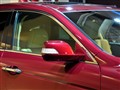 �������� ��ʫͼ
2010�ɶ���չ