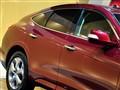 �������� ��ʫͼ
2010�ɶ���չ