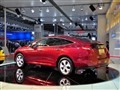 �������� ��ʫͼ
2010�ɶ���չ