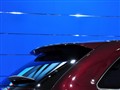 ����(����) ���
2010�ɶ���չ