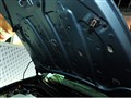��ŵ ������
2011���ݳ�չ