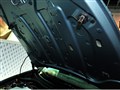 ��ŵ ������
2011���ݳ�չ
