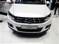 ����(����) Tiguan
2010�����߳�չ