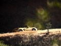 Boxster 2013款 基本型