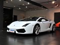 Gallardo