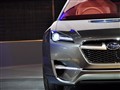 Hybrid 2009款 Tourer Concept