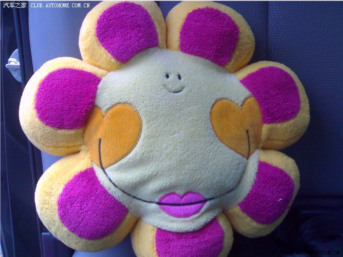 属于自己的第一部车悦动