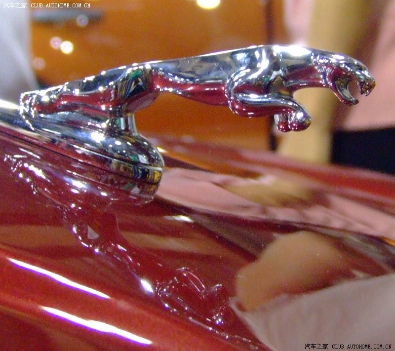 对比一下名爵7罗孚75和捷豹xj